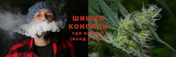 ПСИЛОЦИБИНОВЫЕ ГРИБЫ Армянск