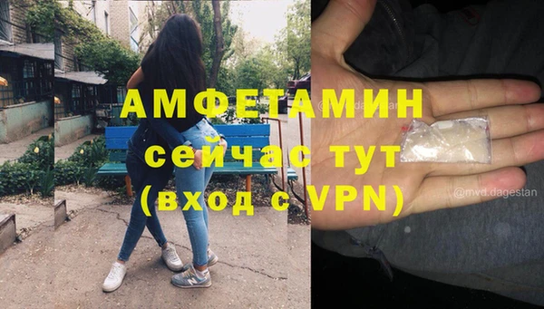 сатива Балахна