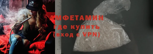 сатива Балахна