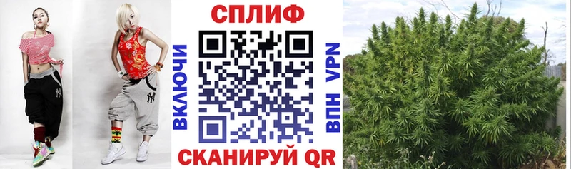 купить наркоту  Усть-Кут  мега маркетплейс  Бошки марихуана MAZAR 